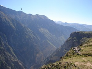 Cânion do Colca